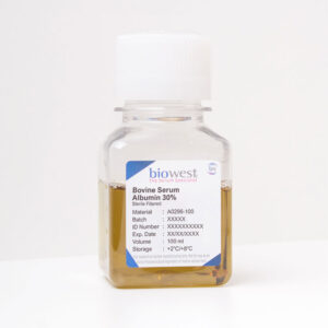 Bovine Serum Albumin 30 pct