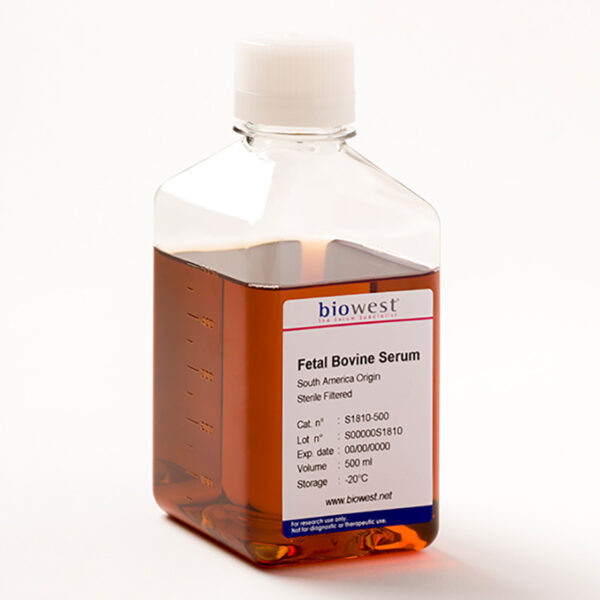 Fetal Bovine Serum South America Origin